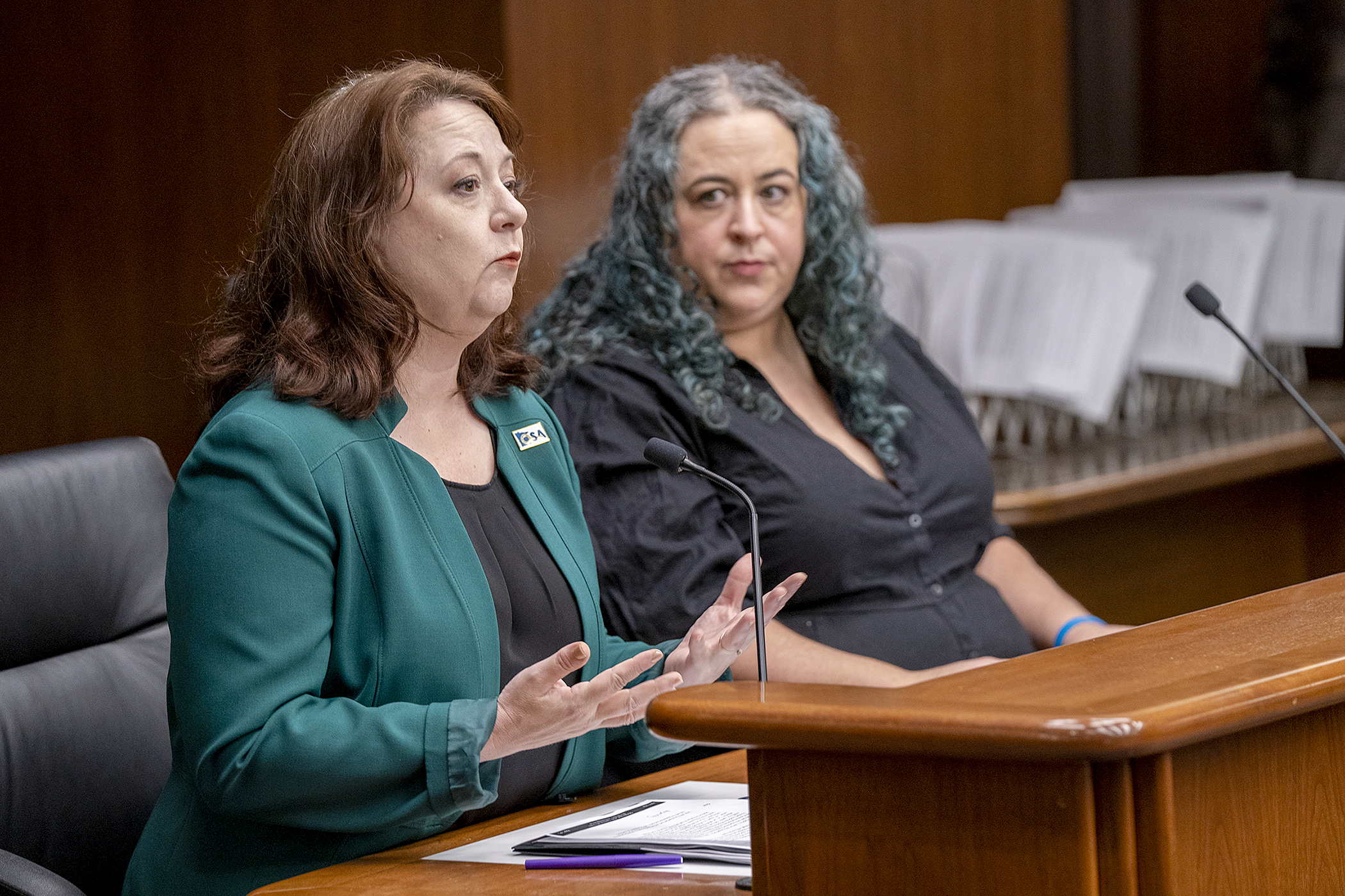 State Auditor Julie Blaha testifies before the House State and Local Government Finance and Policy Committee April 12 regarding HF5336. Sponsored by Rep. Aisha Gomez, it would allow counties and cities to implement local sales taxes to fund certain capital projects. (Photo by Michele Jokinen)